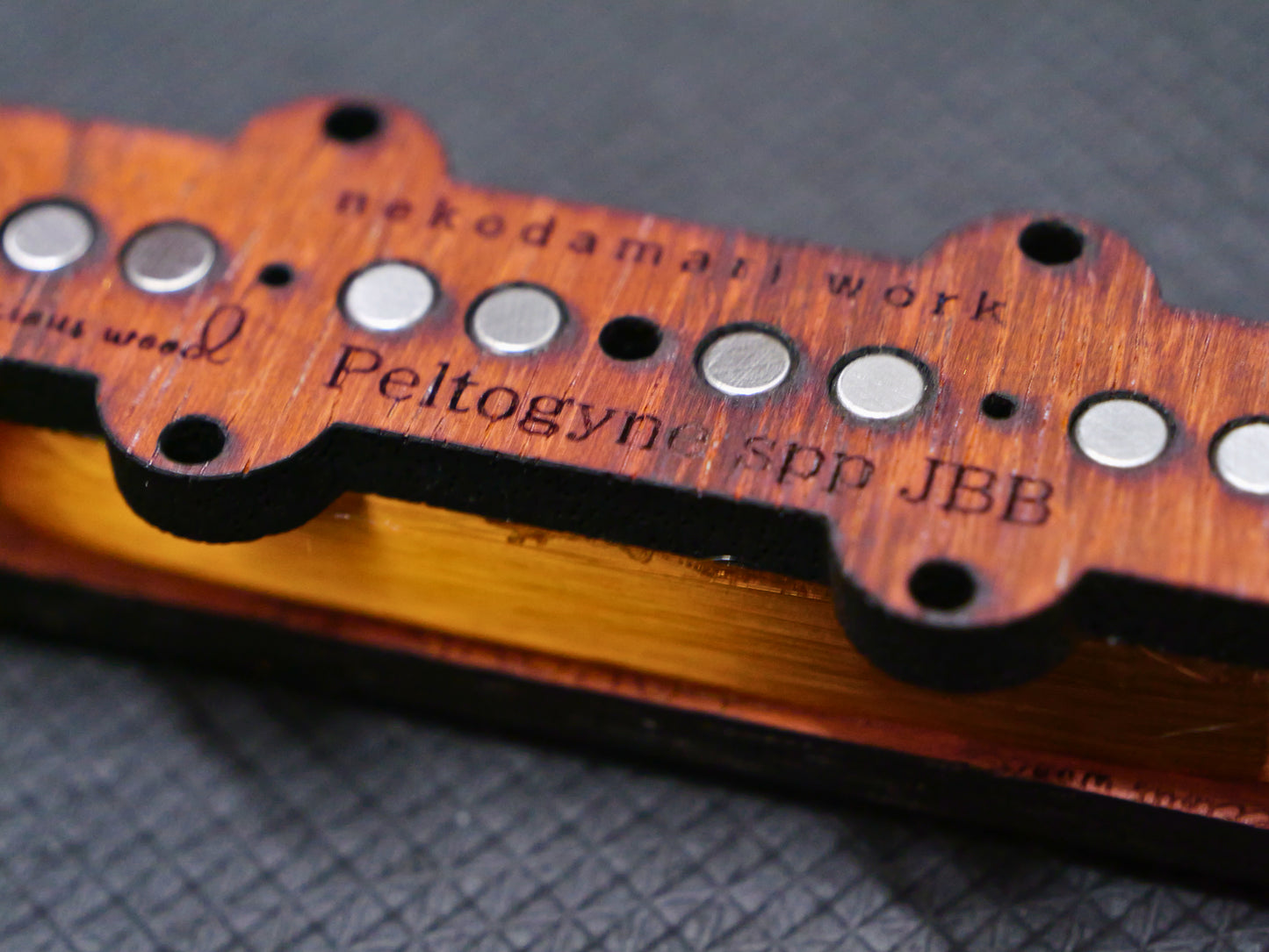 【X100チャレンジ】Xシリーズ JBset #019 1点のみ